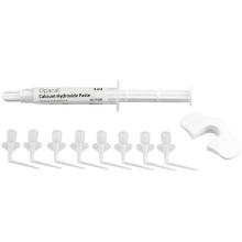 Opacal Seringue 3ml + 8 embouts