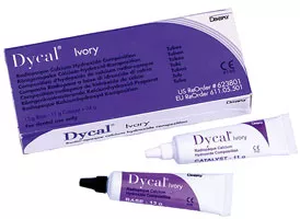 Dycal Dentin 23gr